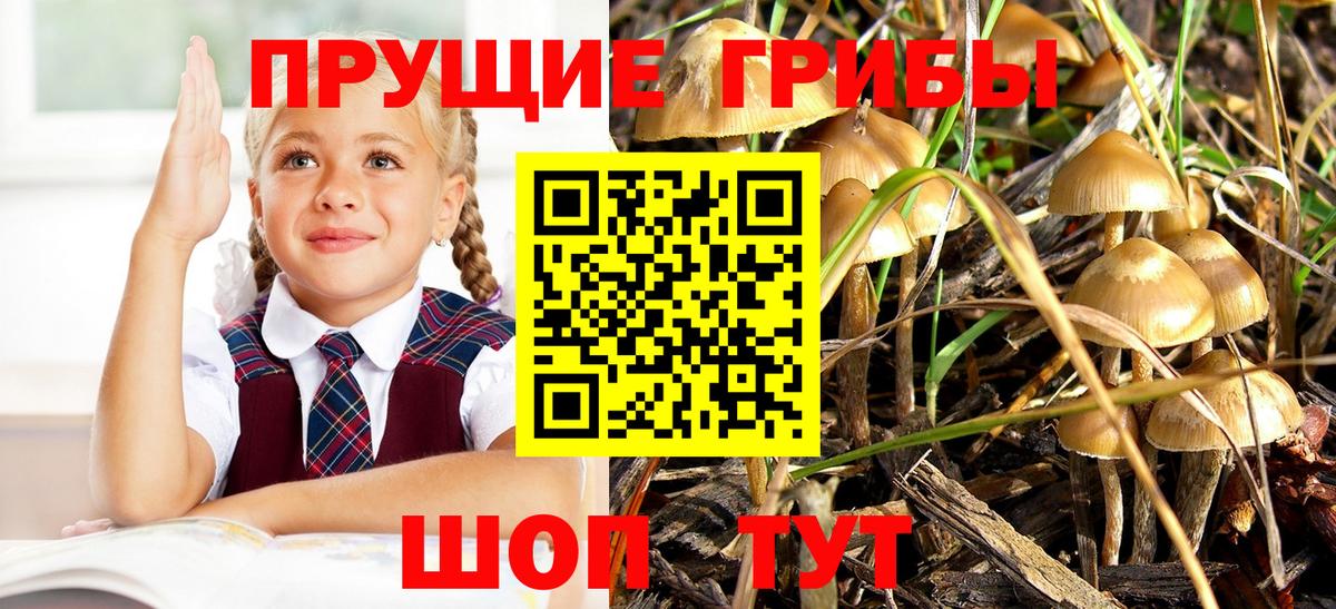 Псилоцибиновые грибы MAGIC MUSHROOMS  Вход с VPN  Шелехов 
